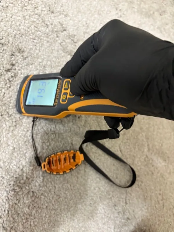 Ceiling leak moisture meter carpet
