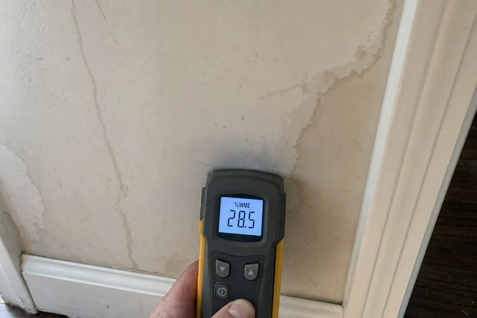 Moisture meter reading being taken on water-stained framing during dry-out documentation